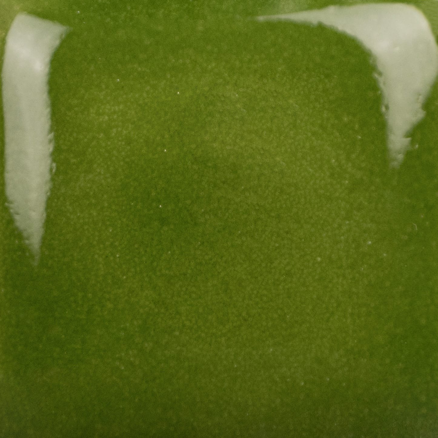 SC-26 GREEN THUMB - Image 2