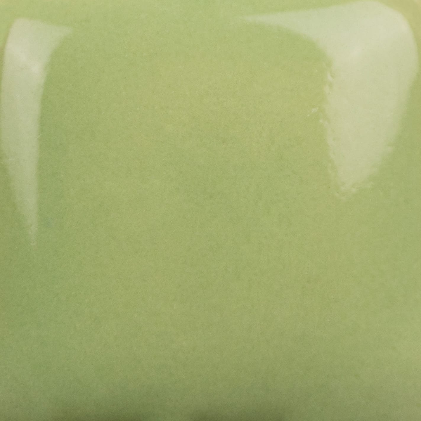 SC-43 LETTUCE ALONE - Image 2