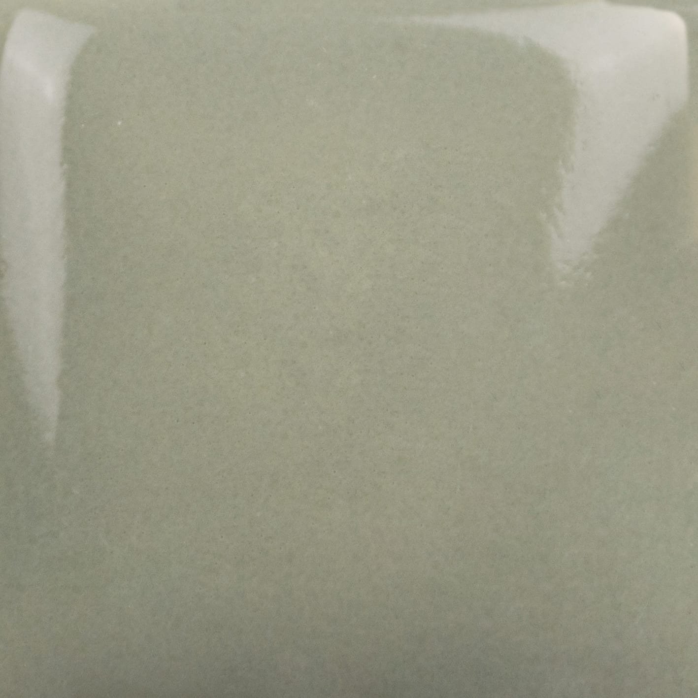 SC-90 ELEPHANT EARS - Image 2