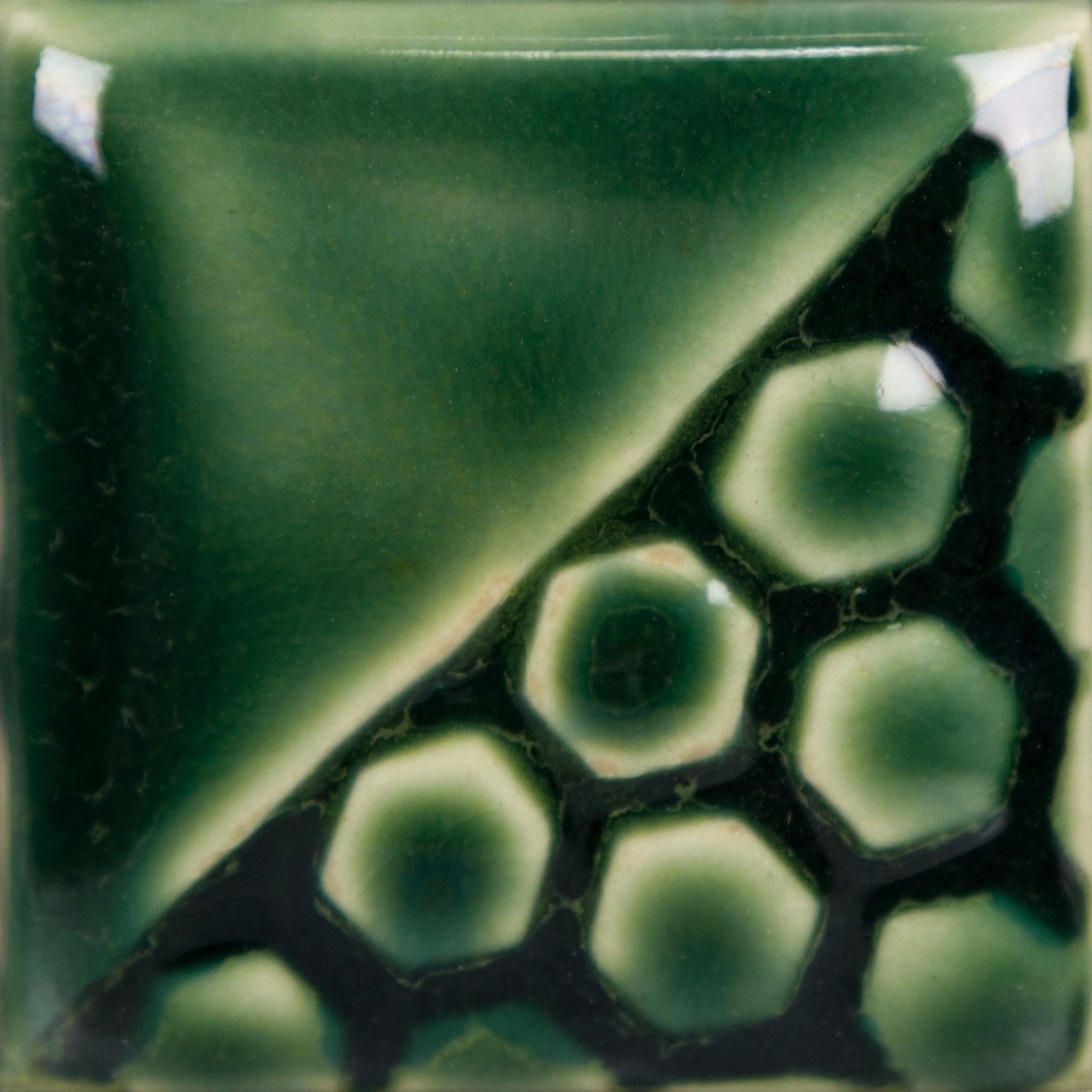 EL-155 HOLIDAY GREEN - Image 2