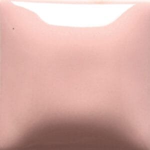 FN-005 PINK