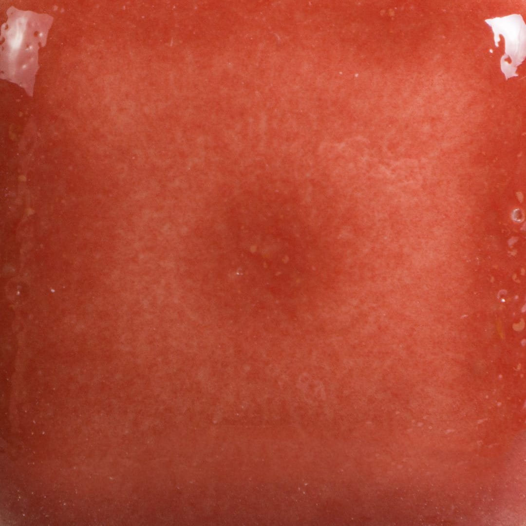 FN-015 BRICK RED - Image 2
