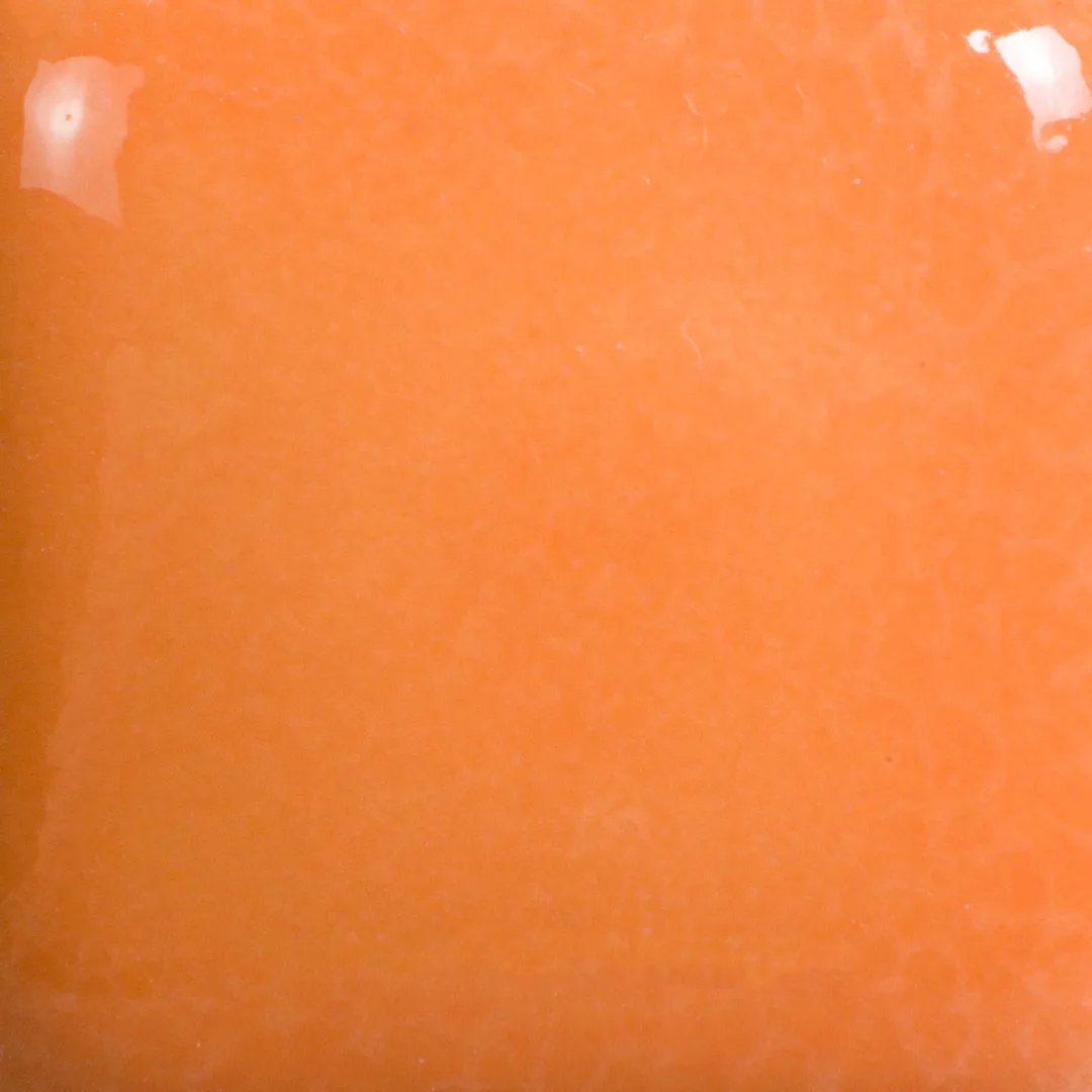 FN-040 PUMPKIN - Image 2