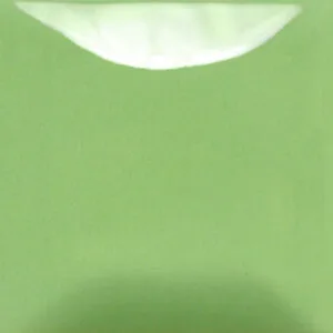 FN-058 GREEN APPLE