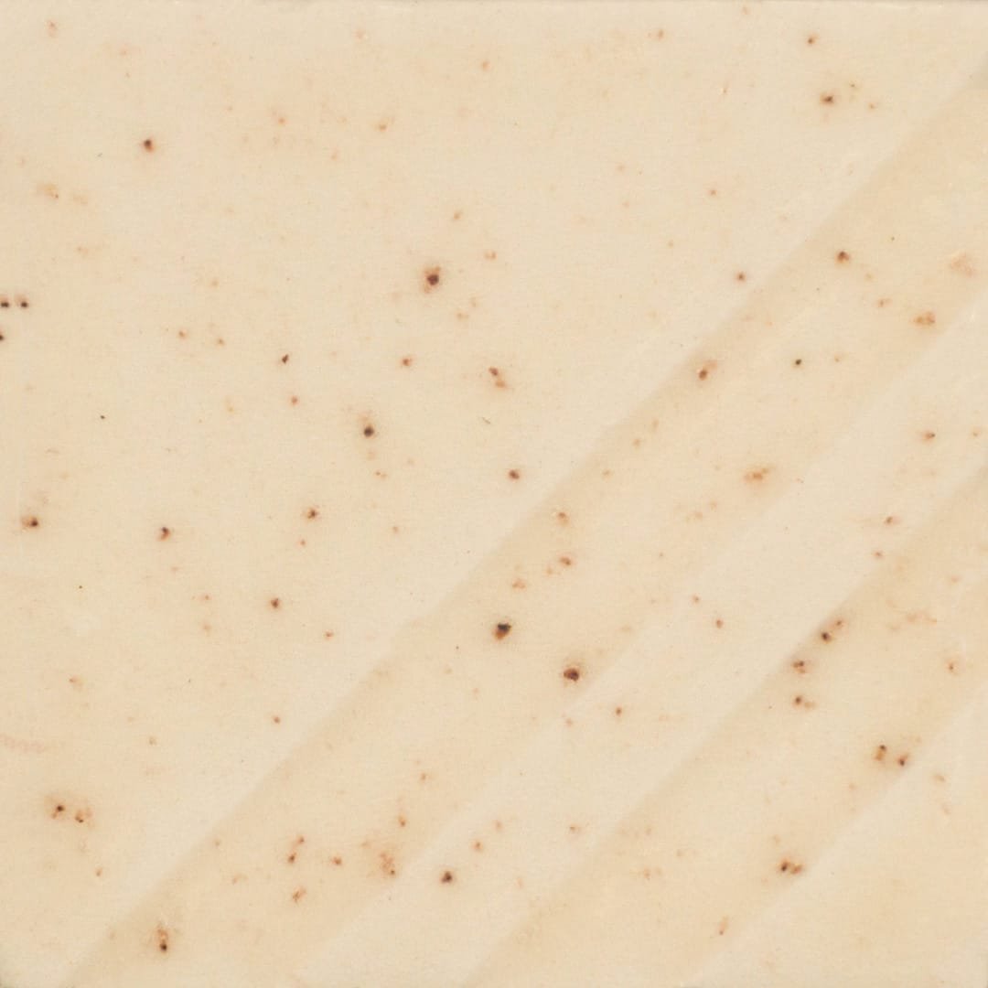 FN-239 SPICED CREAM