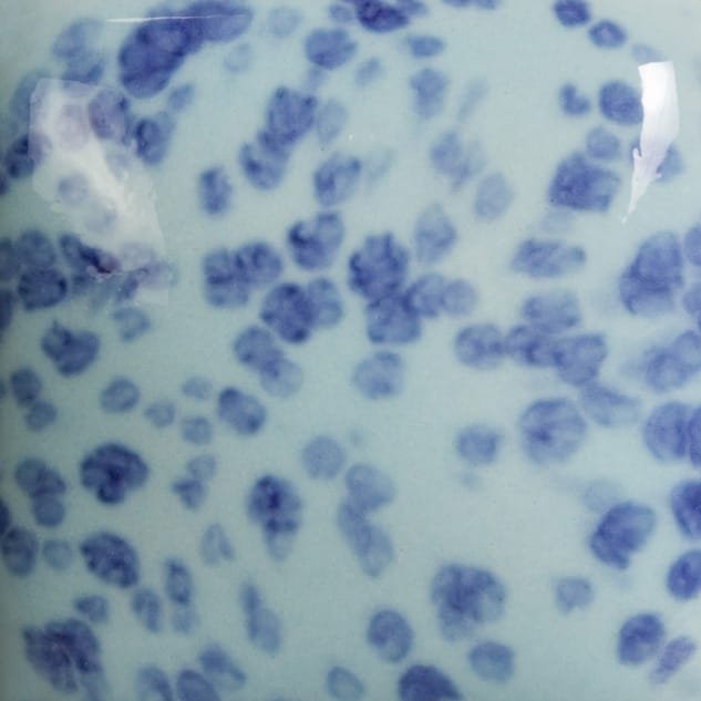 SP-245 SPECKLED MY BLUE HEAVEN - Image 2