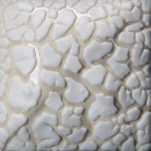 SW-403 WHITE MUDCRACK
