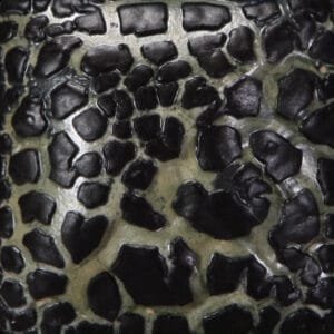 SW-404 BLACK MUDCRACK