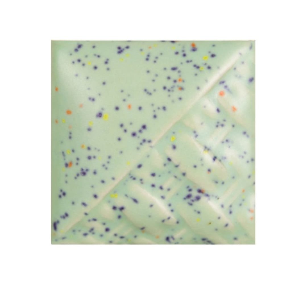 SW-221 MINT SPECK