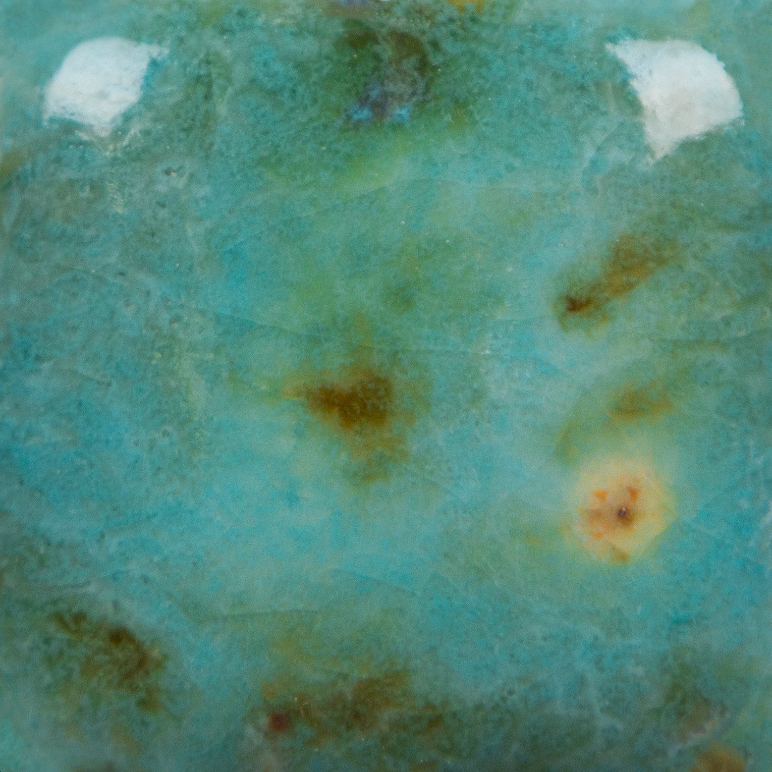 CG-1008 BLUE GUPPY - Image 2