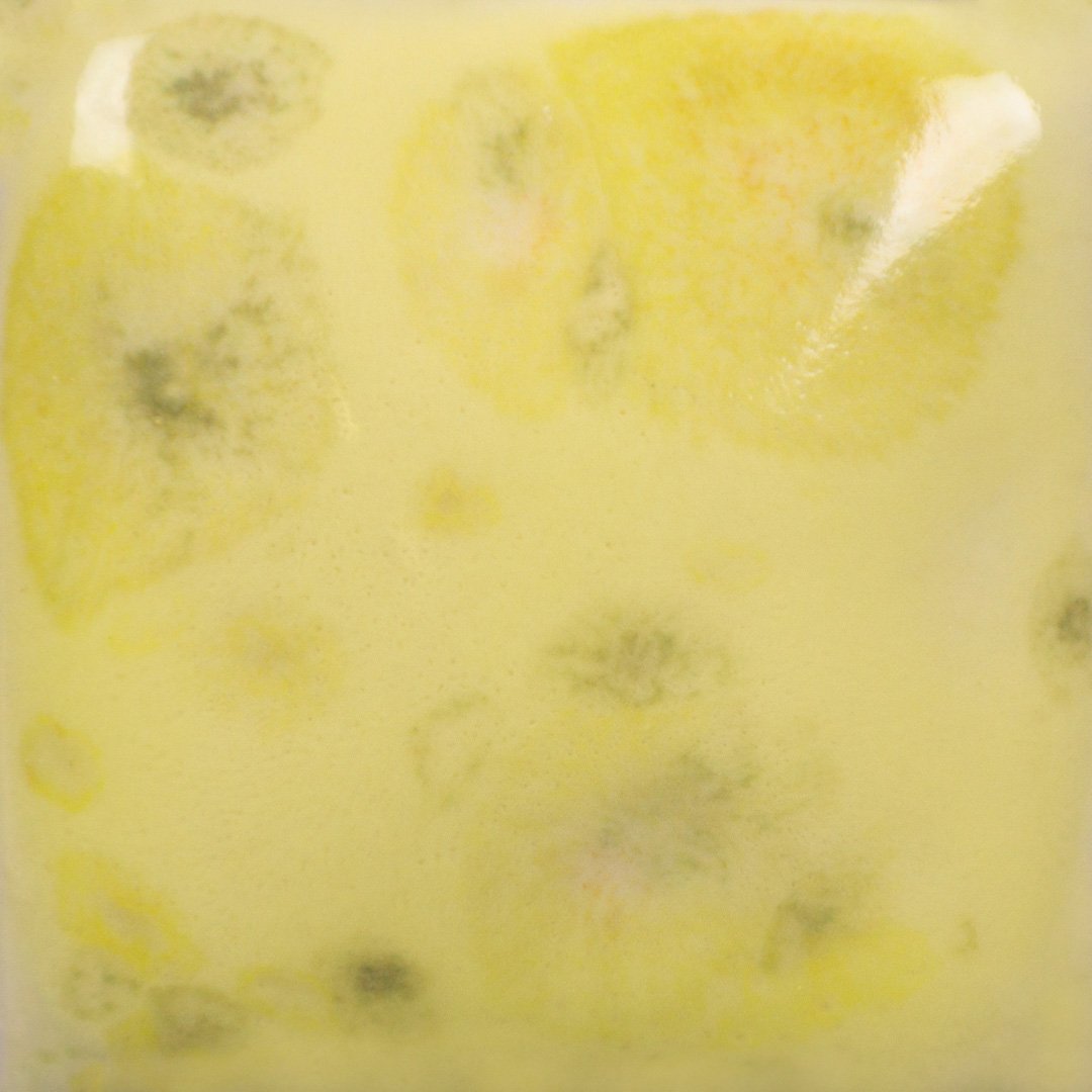 CG-1012 HAYSTACK - Image 2