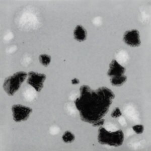 CG-1016 ASTEROID