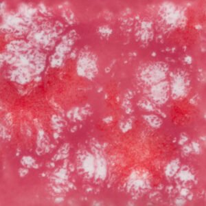 CG-968 PEPPERMINT TWIST