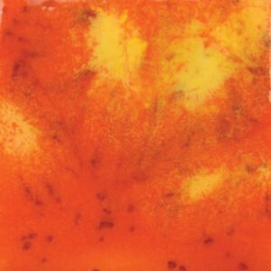 CG-954 WILDFIRE