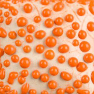 SW-442 ORANGE BEAD