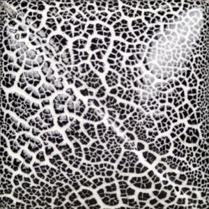 CC-101 TRANSPARENT CRACKLE (Kopija)