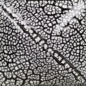 CC-101 TRANSPARENT CRACKLE (Kopija) (Kopija)